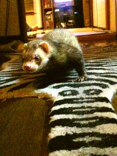 051016_h1.jpeg
