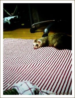 060916_arrow.jpg