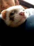 090909_4.jpg